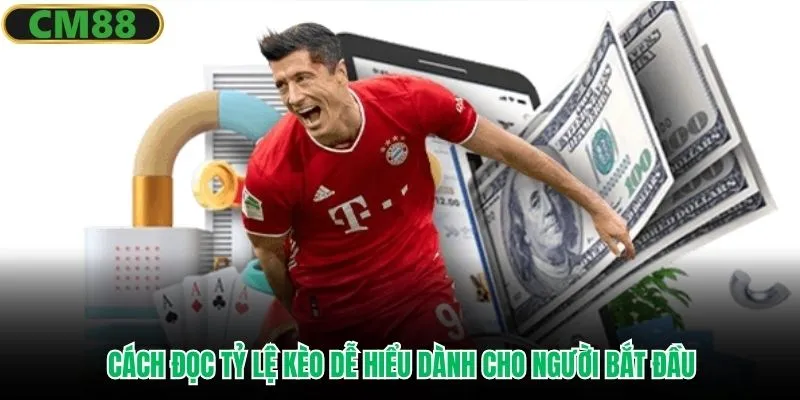 Cách đọc tỷ lệ kèo dễ hiểu dành cho người bắt đầu