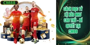 Cách đọc tỷ lệ kèo CM88