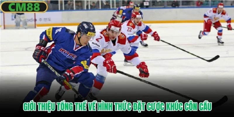 Giới thiệu tổng thể về hình thức đặt cược khúc côn cầu